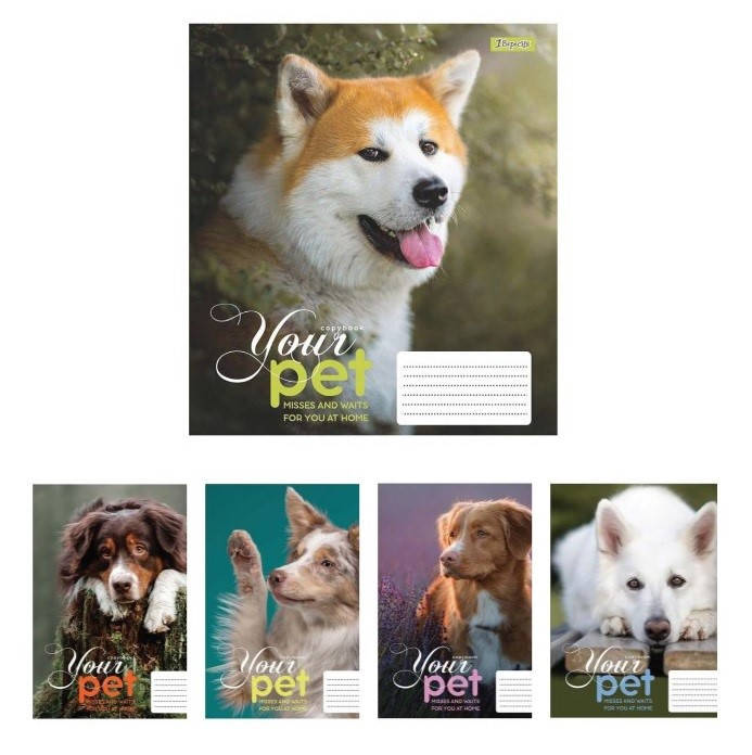 

А5/12 кл. 1В Dog loyality, тетрадь ученическая