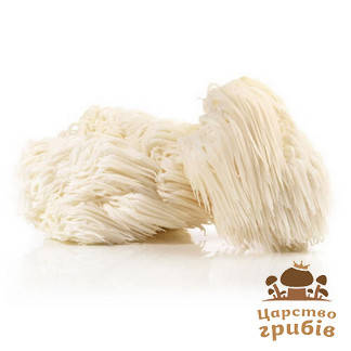 

Гериций гребенчатый (Ежовик) свежий (Hericium erinaceus).