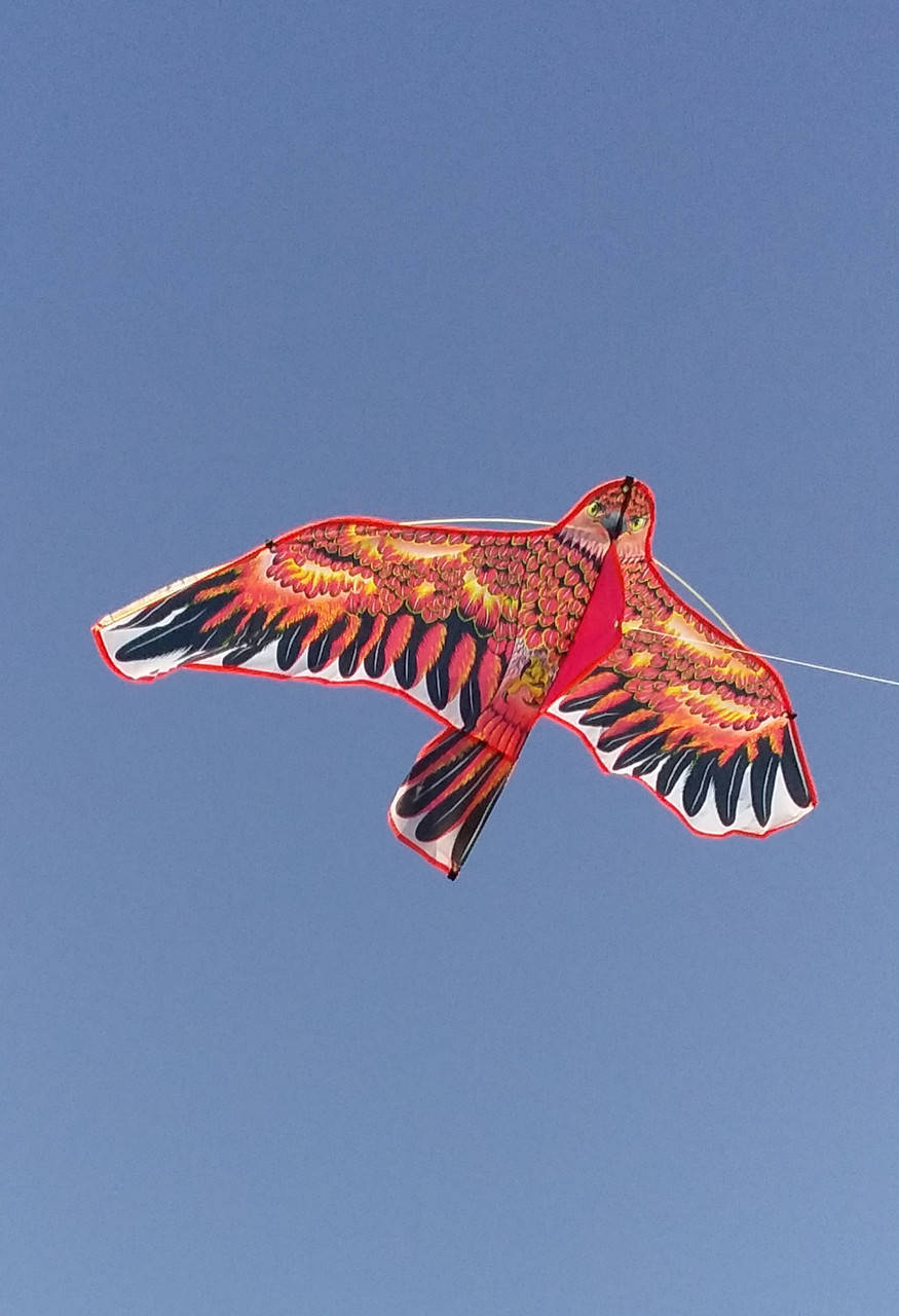 

Воздушный змей Орел Сокол