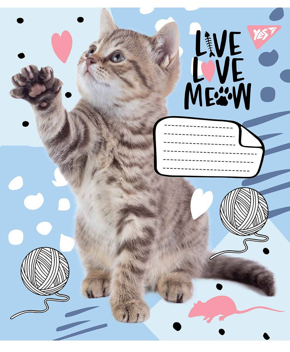 

Зошит учнівський А5/12арк. коса лінія "Live love meow" YES