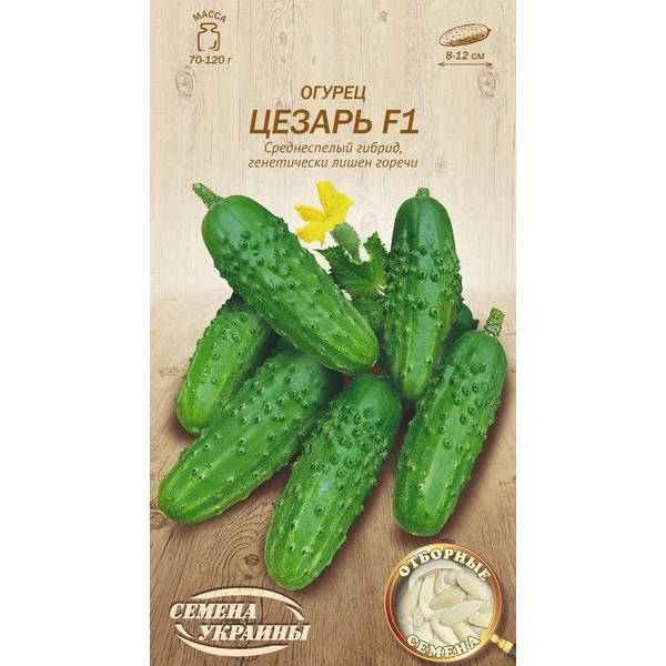 

Огурец ЦЕЗАРЬ F1 0,5г (20 пачек) (cс) ТМ СЕМЕНА УКРАИНЫ