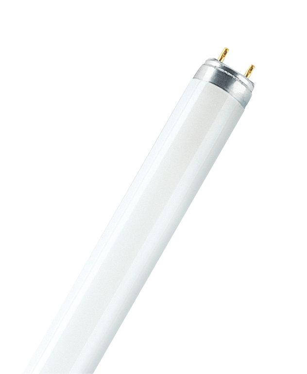

Лампа люминесцентная 1200мм, 36w, , 4000K, Ø26мм, G13 Osram [4008321581419] Осрам L 36W, 840