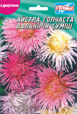 

Астра Валькирия 100 шт.