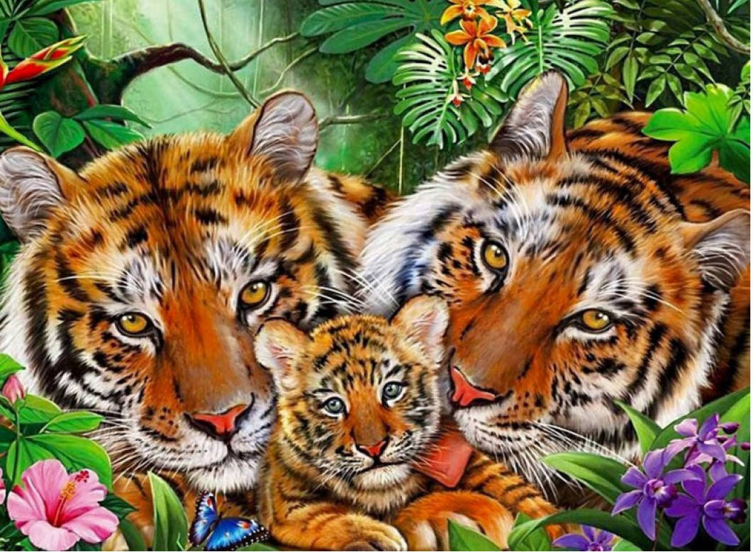 

Картина по номерам 3D 2 в 1 алмазная мозаика и раскраска на подрамнике 40х50 см CY2264