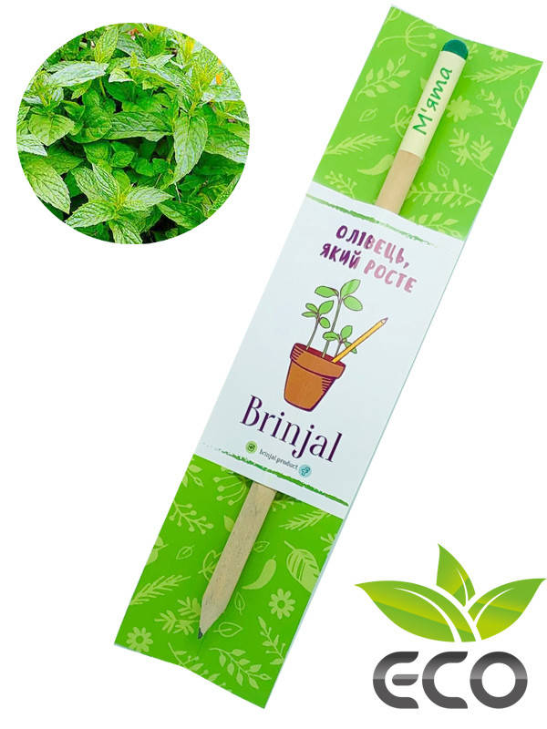 

Растущий ЭКО карандаш Мята (Канцелярия с ЭКО семенами)