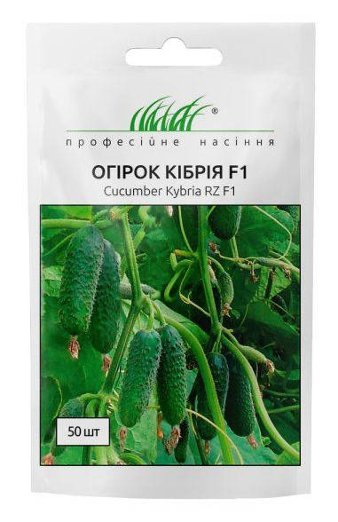 

Семена огурца сорт Кибрия F1 50 шт. Rijk Zwaan