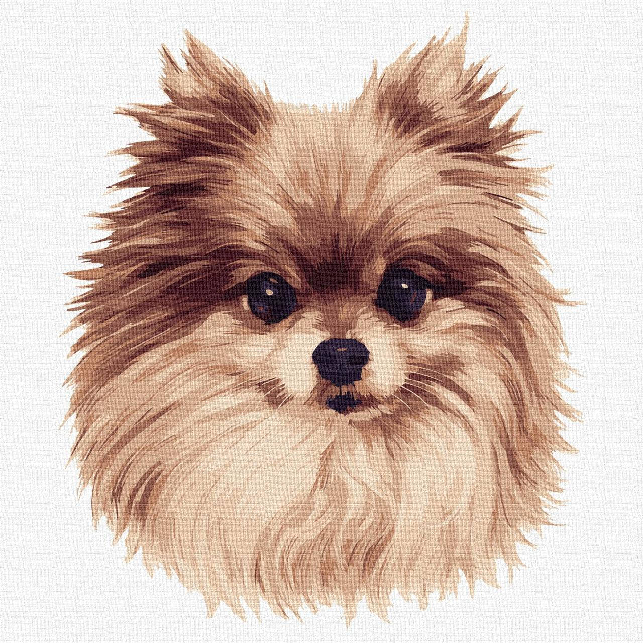 

Картины по номерам - Пухнасте диво КНО4298 ТМ Идейка 30х30 см