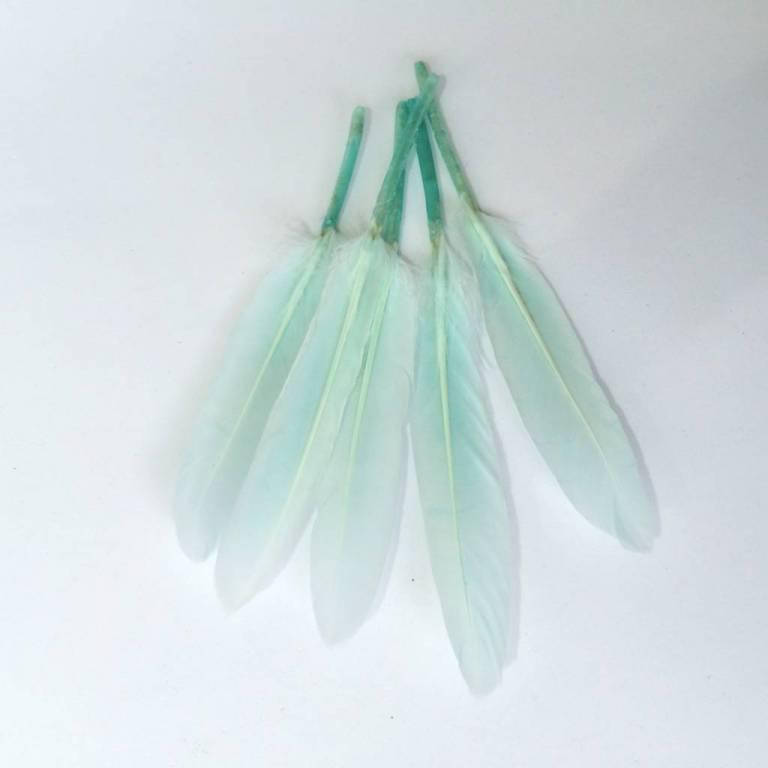 

Перо декоративное 5 штук. Цвет бирюзовый.