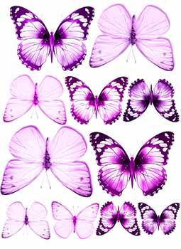 

Вафельная картинка Бабочки А4