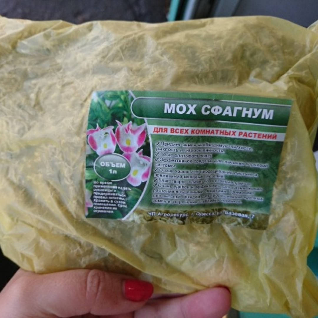 

Мох сфагнум