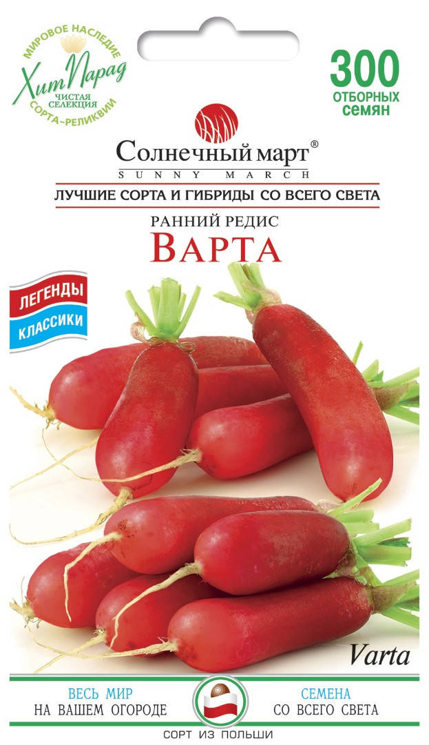 

Редис Варта, 300шт.
