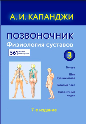 

Позвоночник. Физиология суставов