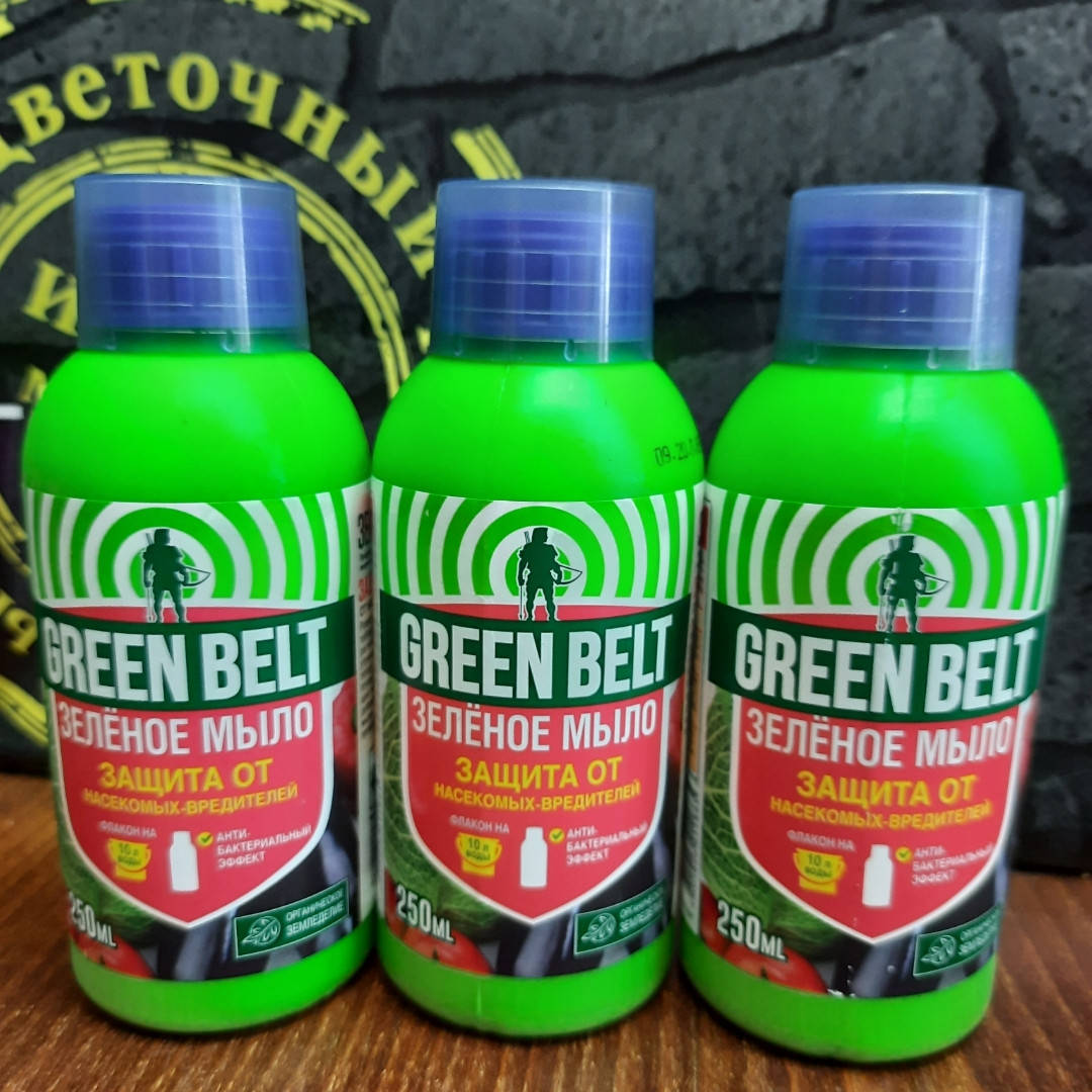 

Зеленое мыло GREEN BELT 250 мл срок до 07.2023г