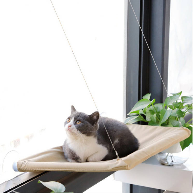 

Оконная лежанка для кошек Taotaopets 072202 на присосках подвесная 55*35cm