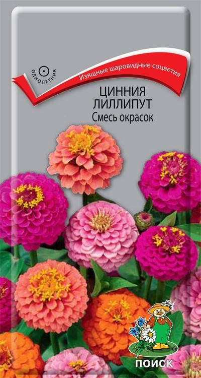 

Семена Цинния низкорослая Лиллипут Смесь 0,4 грамма Поиск, Разные цвета