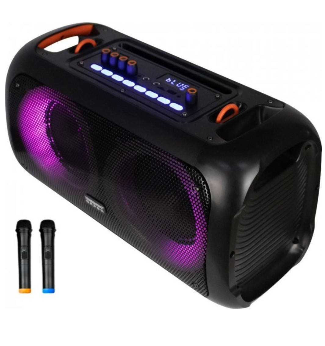 

Портативный Бумбокс Temeisheng Soundmax TMS-6616 + 2 радиомикрофона