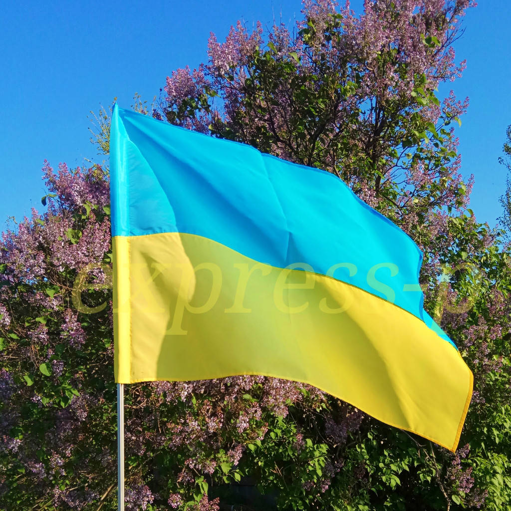 

Флаг Украины 60*90 см (нейлон)
