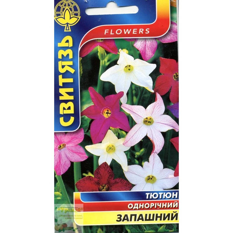 

Семена цветы Табак душистый, 0,2 г