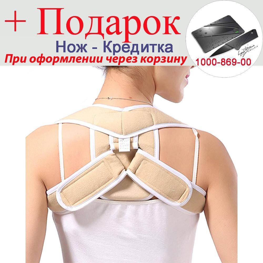 

Бандаж на ключицу Orliman L Бежевый