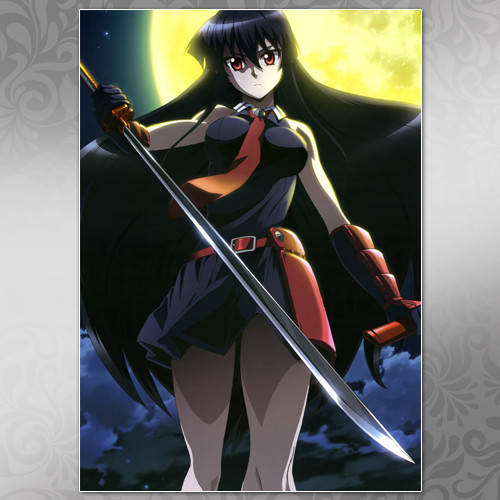 

Плакат Аниме Akame ga Kill 09
