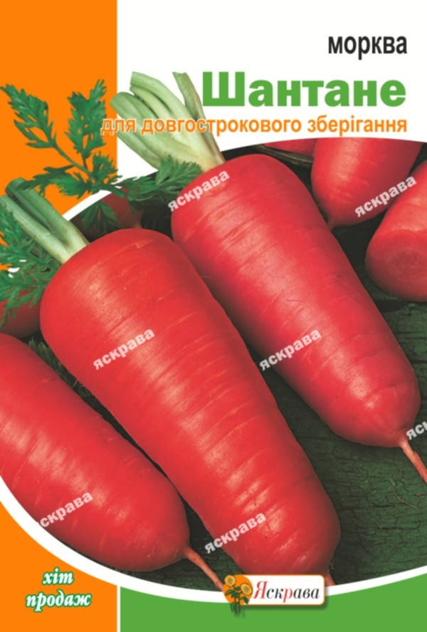 

Морковь Шантане 10 г, семена Яскрава