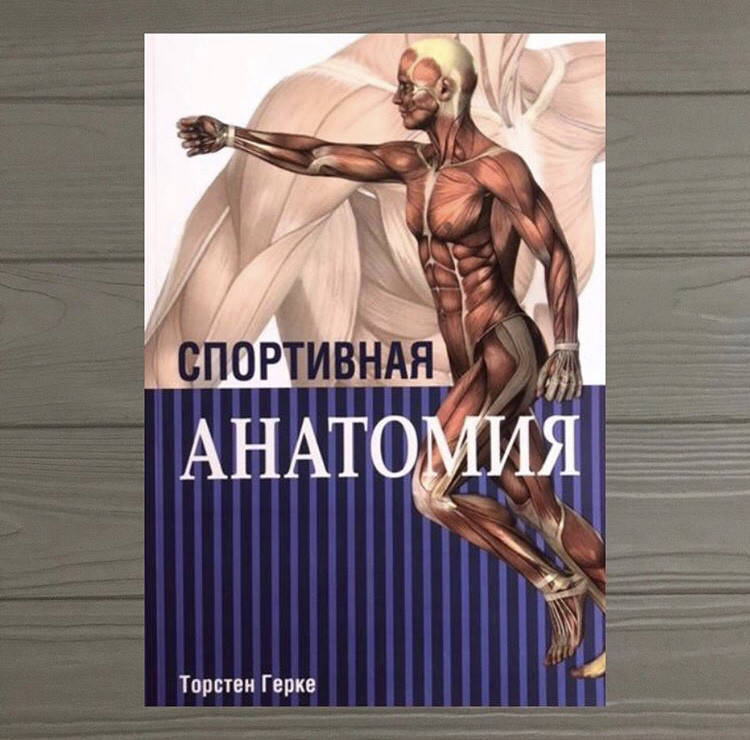 

Торстен Герке Спортивная анатомия