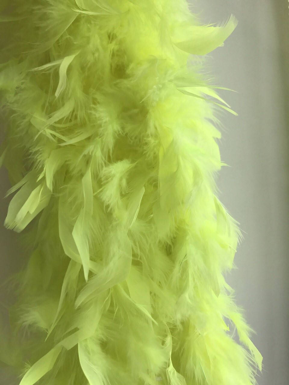 

Боа индюшиное.Цвет желтый. Длинна 1,8м