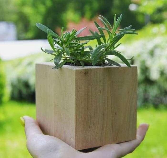 

Экокуб "Flora Cube", лаванда