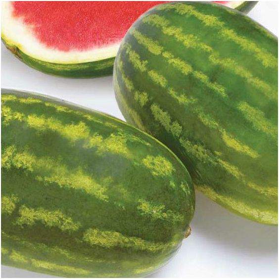 

ФАРАО F1 - семена арбуза 1 000 семян, Syngenta