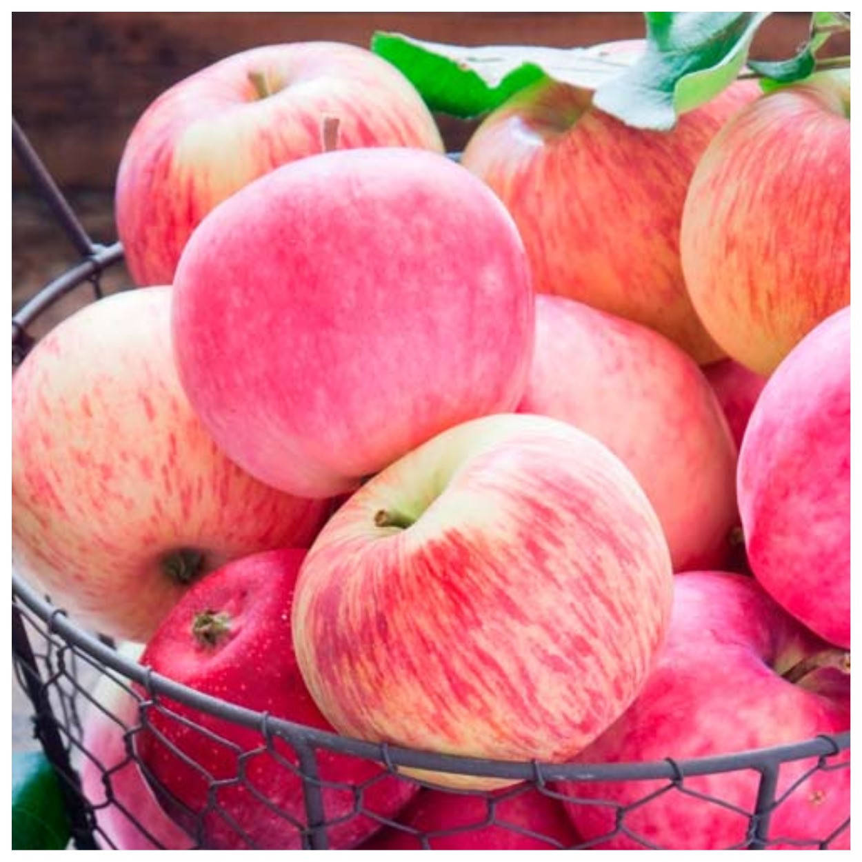 

Яблоня Розовый налив