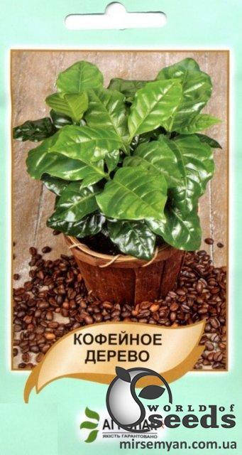 

Кофейное дерево 5 сем. А