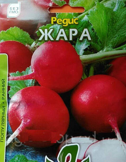 

Семена редиса Жара 15г ТМ ВЕЛЕС