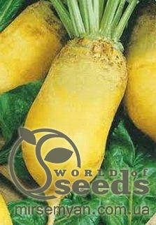 

Семена свеклы кормовой "Урсус Поли", 300 г WoS