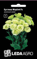 

Семена Эустома Мариачи F1 зеленый лайм 5шт ТМ LEDAAGRO, Зелёный