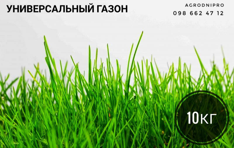 

Семена газонной травы 10 кг, Красный