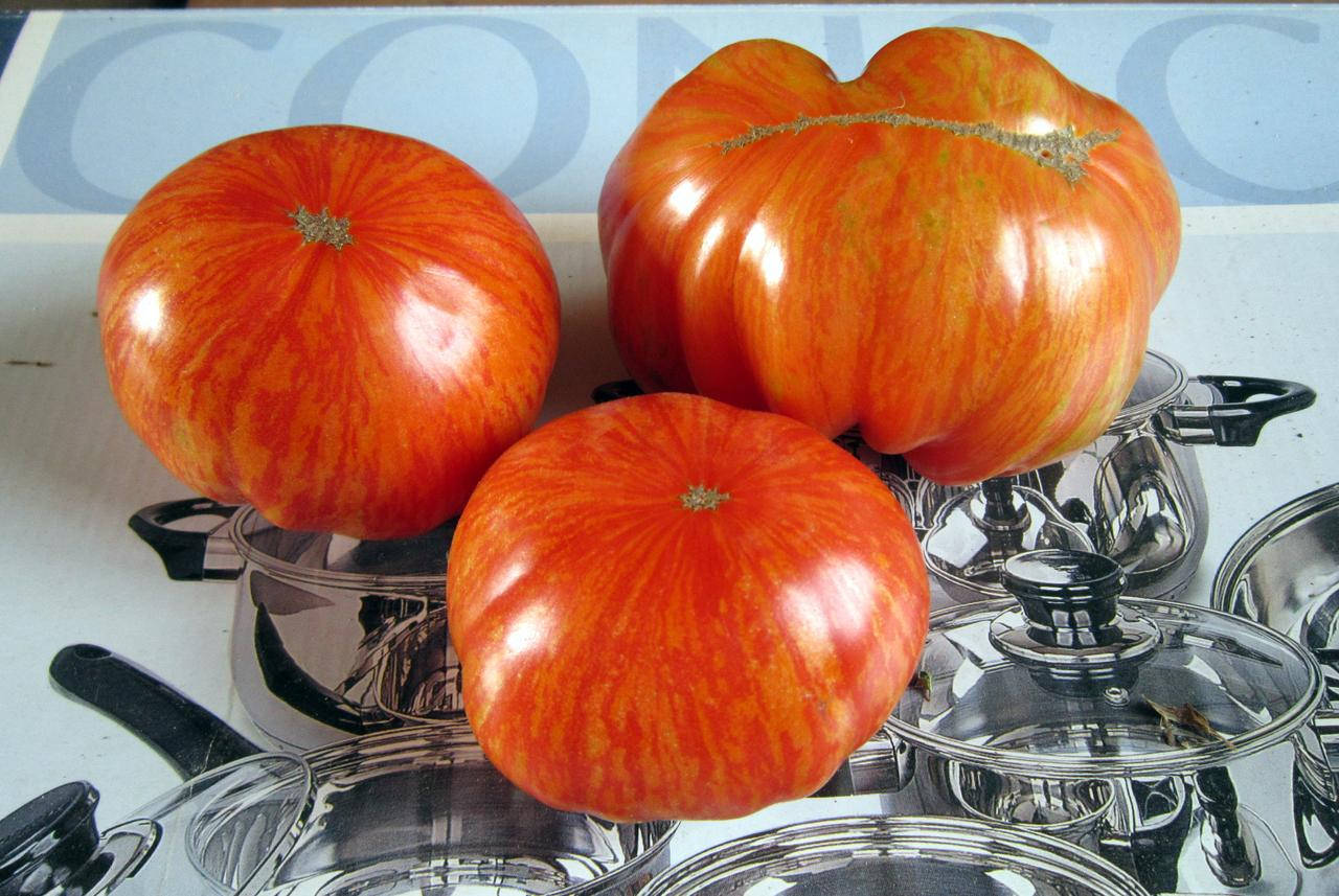 

Томат Don's Double Delight