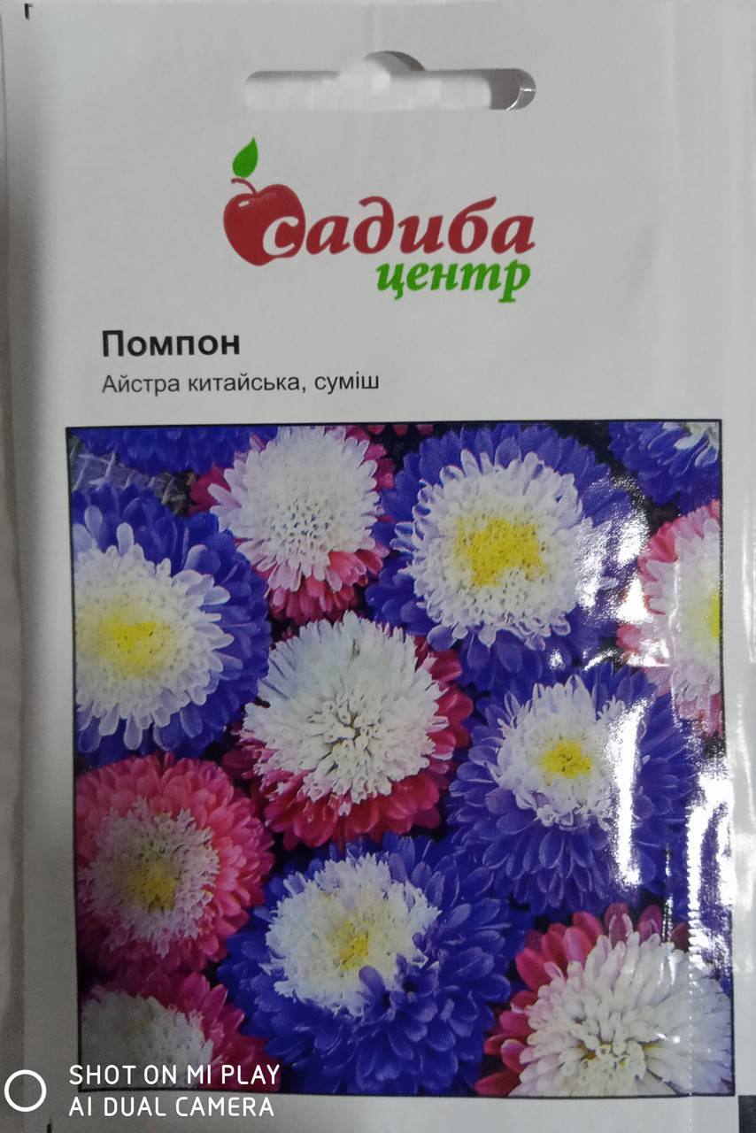 

Насіння айстра китайська суміш Помпон 0,3гр. "HEM ZADEN" Нідерланди, Разные цвета