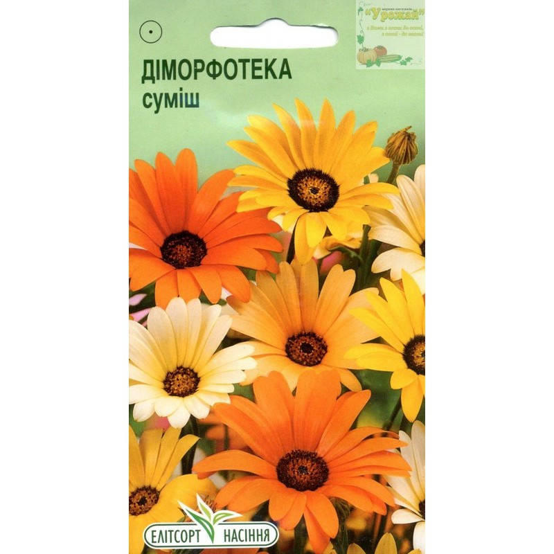 

Семена цветы Диморфотека, 0,2 г