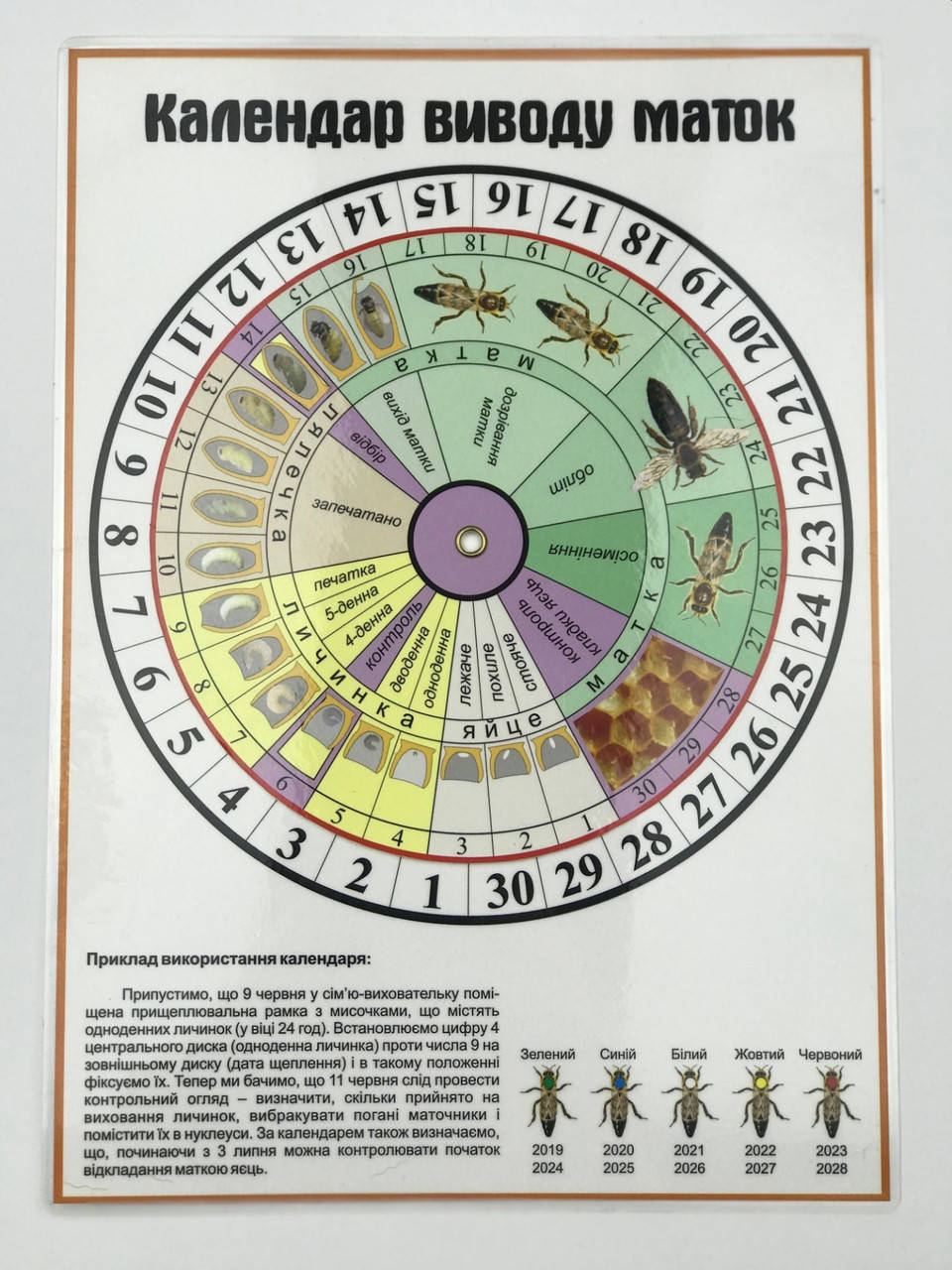 

Календарь вывода маток