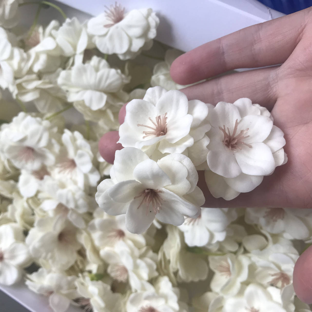 

Сакура из мыльного раствора. Мыло сакура для букетов