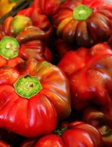 

Перец сладкий итал. Pimiento Pepper 8 сем