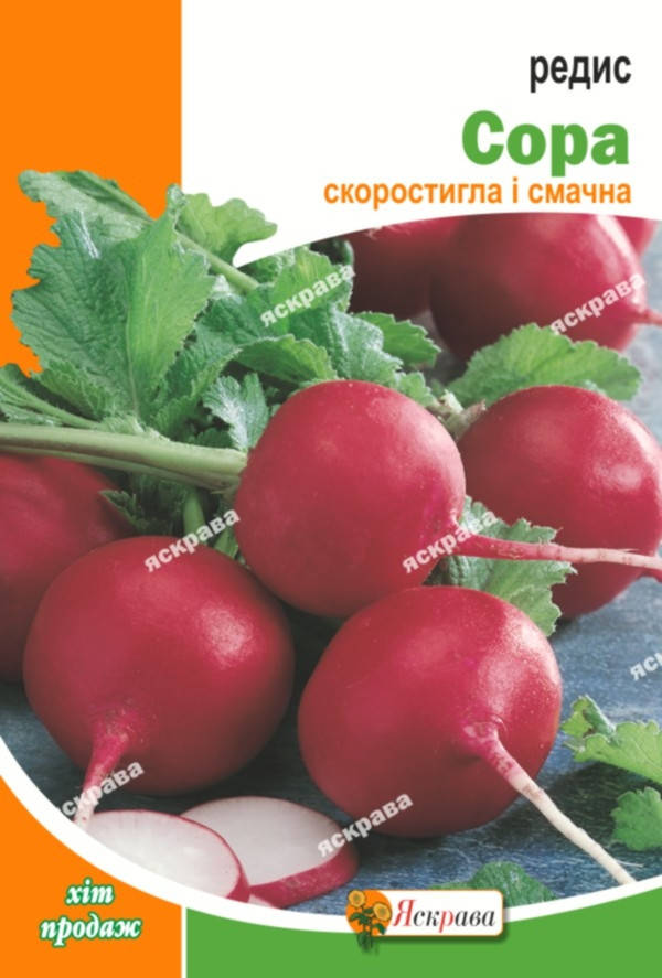 

Редис Сора 10 г, семена Яскрава