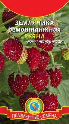 

Семена Земляника ремонтантная Руяна 0,04 грамма Агроника