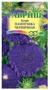 

Астра Пампушка Черничная, 0.3г