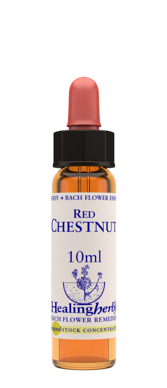 

Цветы Баха. RED CHESTNUT - Красный каштан (№ 25) Healing Herbs