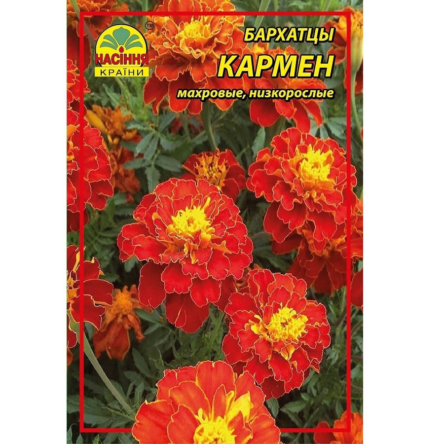 

Цветы Бархатцы (чернобривцы) Кармен - 3 г