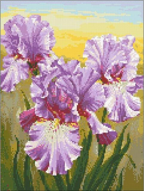 

Алмазная вышивка мозаика Ирисы 30х40 см
