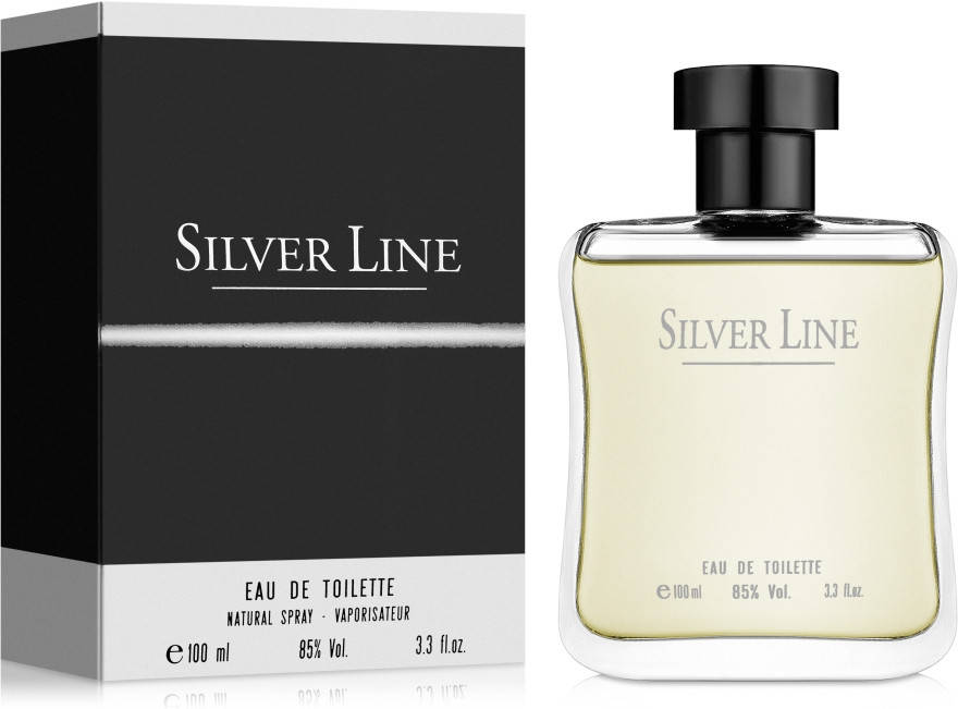 

Туалетная вода FC Silver Line 100ml М