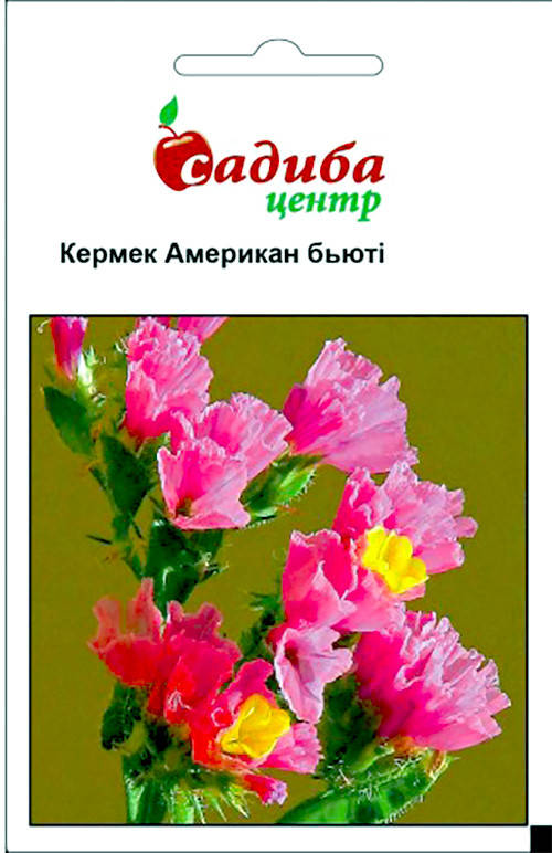 

Садыба Центр. Семена Статица Кермек Розовый Американ Бьюти, 0,1 г