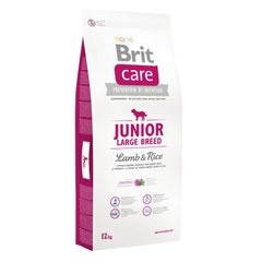 

Сухий корм Brit Care Junior Large Breed Lamb & Rice 12 kg (д/щенков гигантских пород)